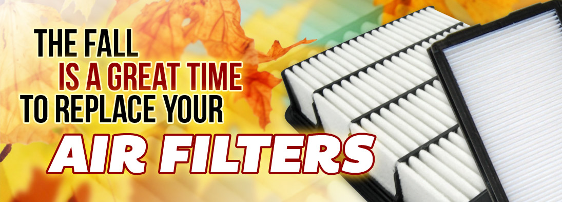 Air and Cabin Air Filter